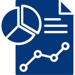 Security Analyst